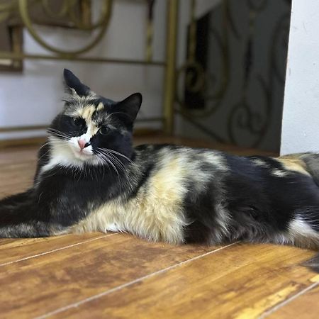 Guesto Hostel Taškent Exteriér fotografie